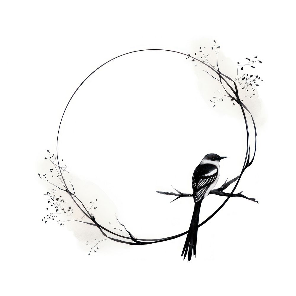 Stroke outline birds frame drawing | Premium Photo Illustration - rawpixel