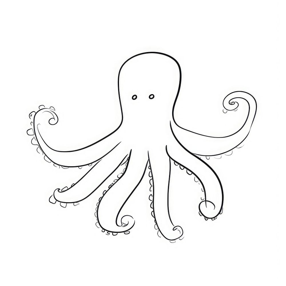 Octopus animal sketch doodle.