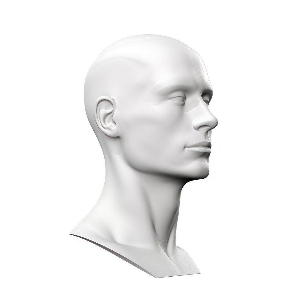 A man head sculpture adult white.