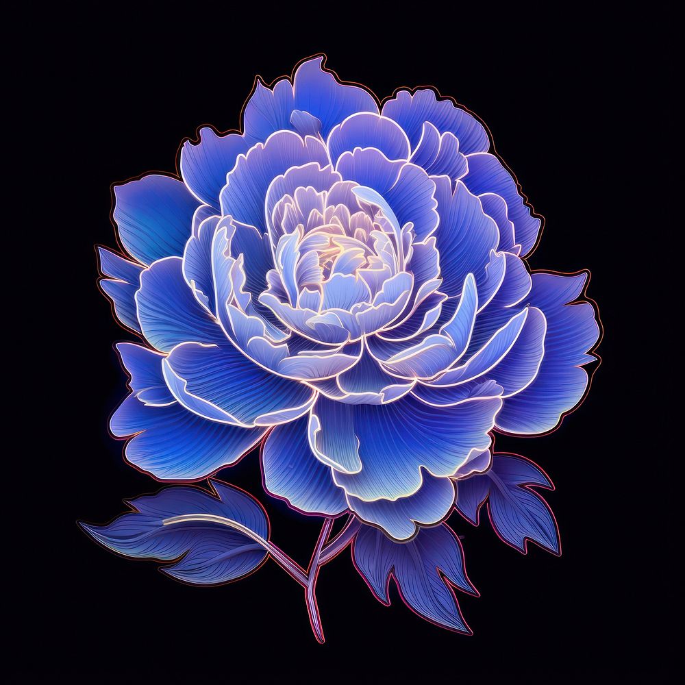 Illustration peony neon rim light purple pattern flower.