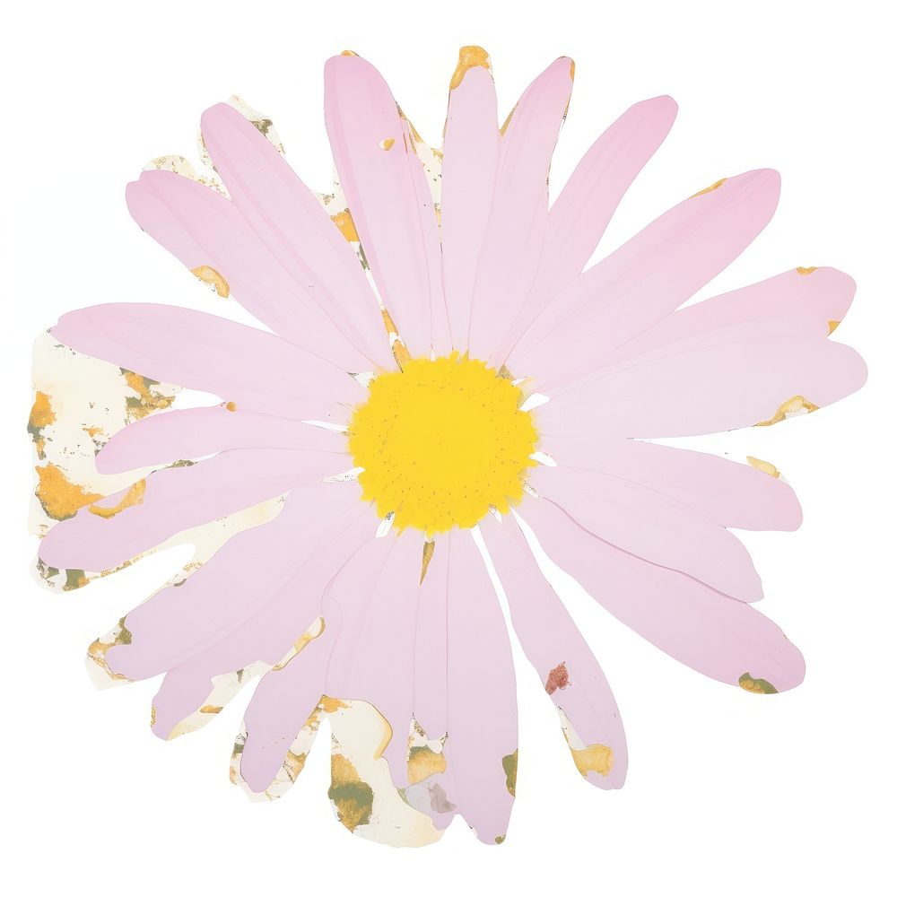 Daisy shape marble distort shape flower petal plant.