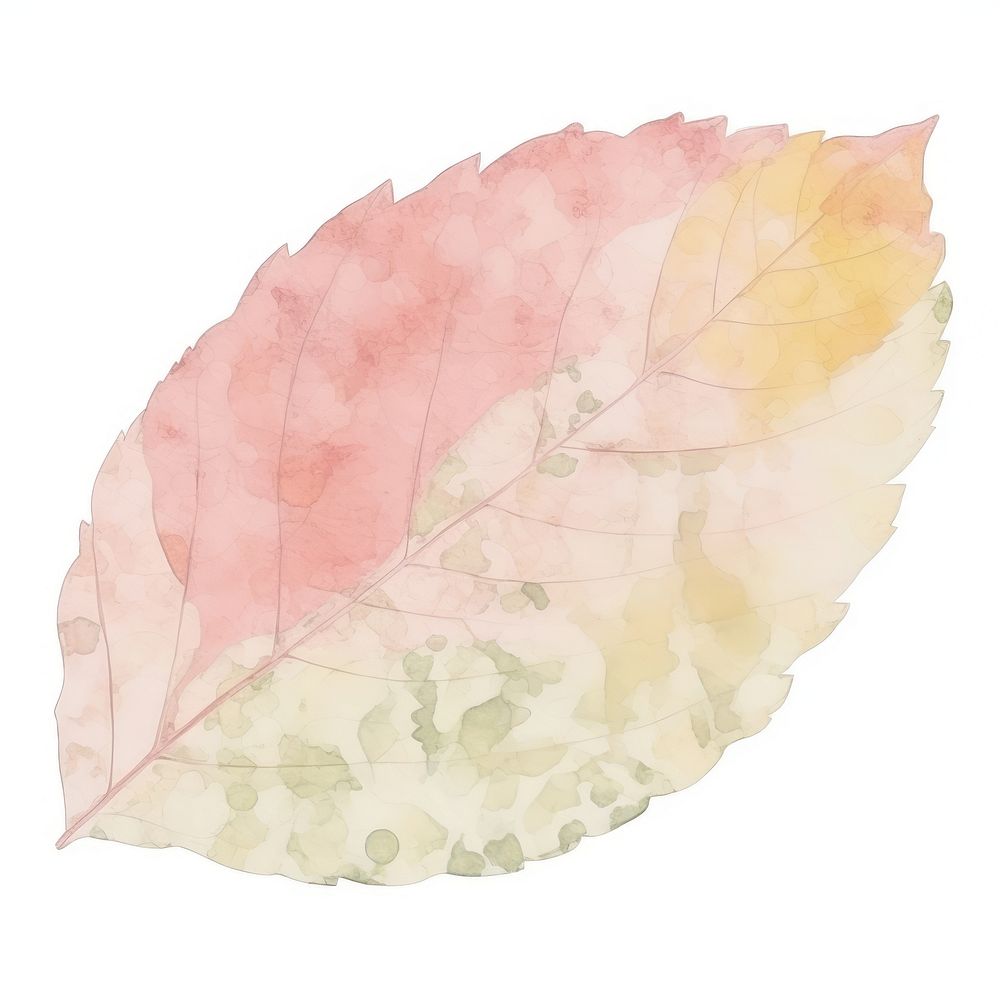 Leaf marble distort shape abstract plant paper.