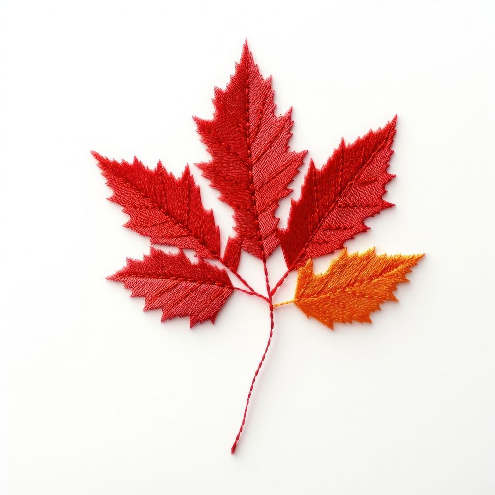 Autumn leave in embroidery style maple plant leaf.