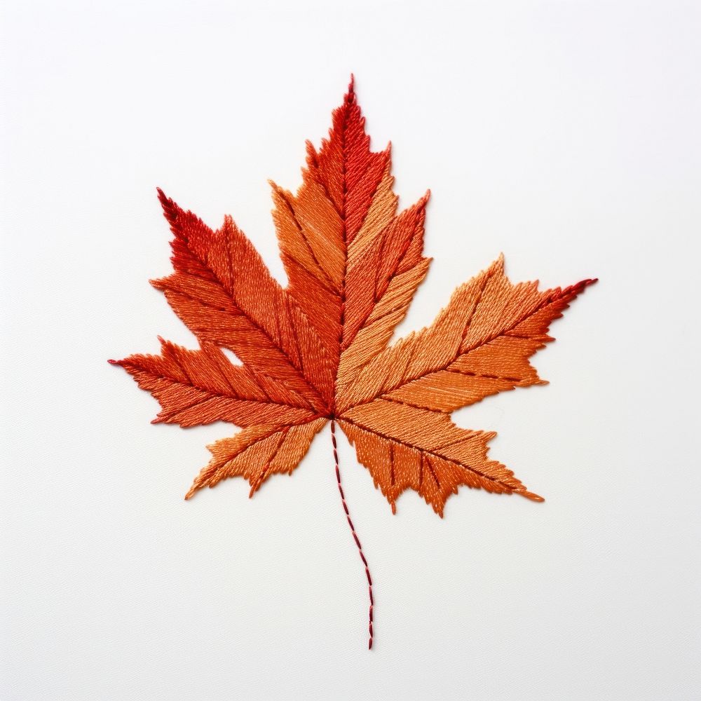 Autumn leave in embroidery style leaves maple plant.
