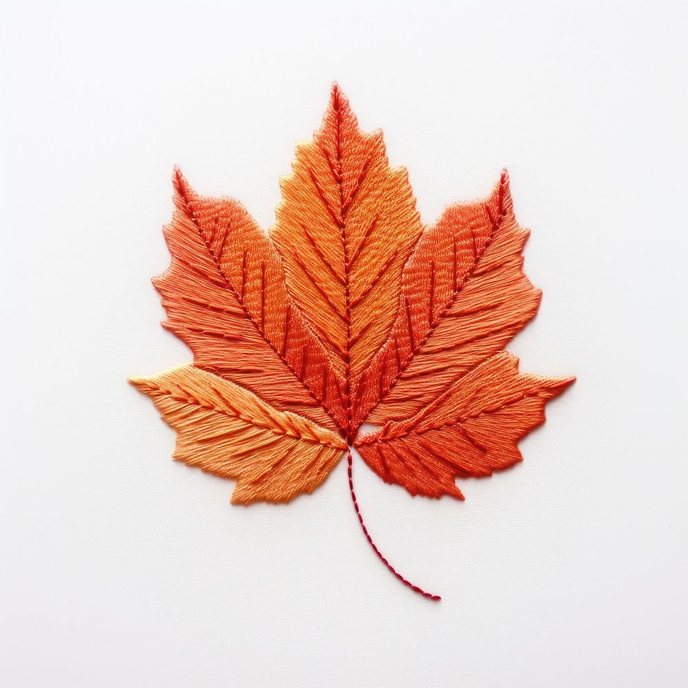Autumn leave in embroidery style plant leaf tree.