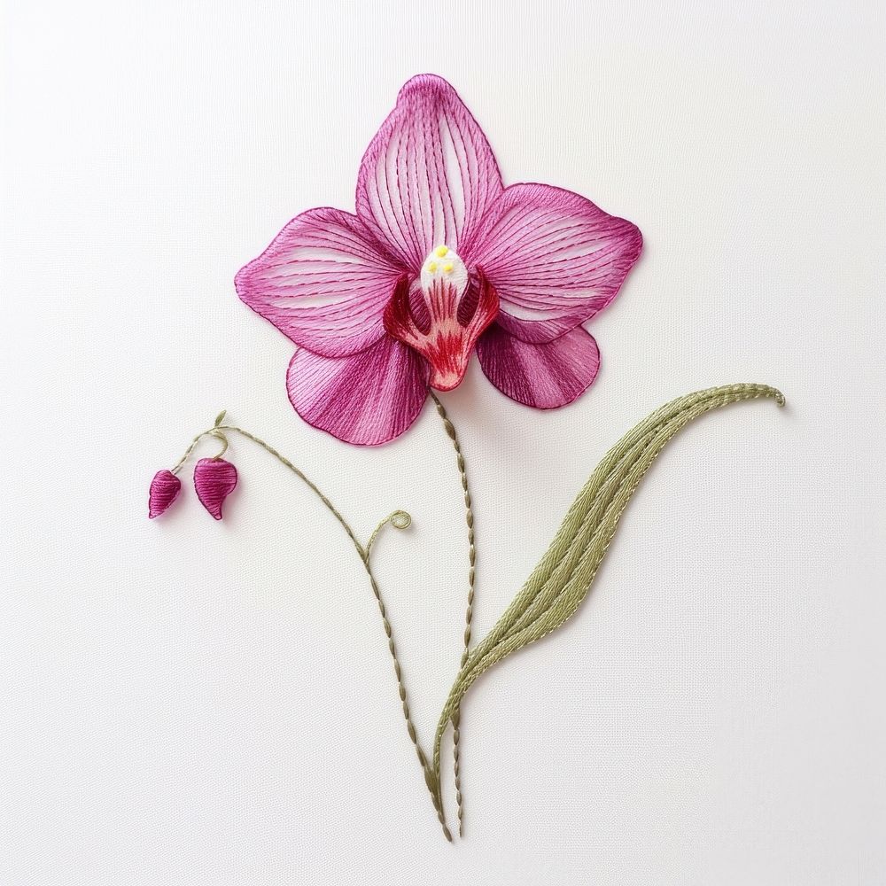 Orchid in embroidery style flower petal plant.