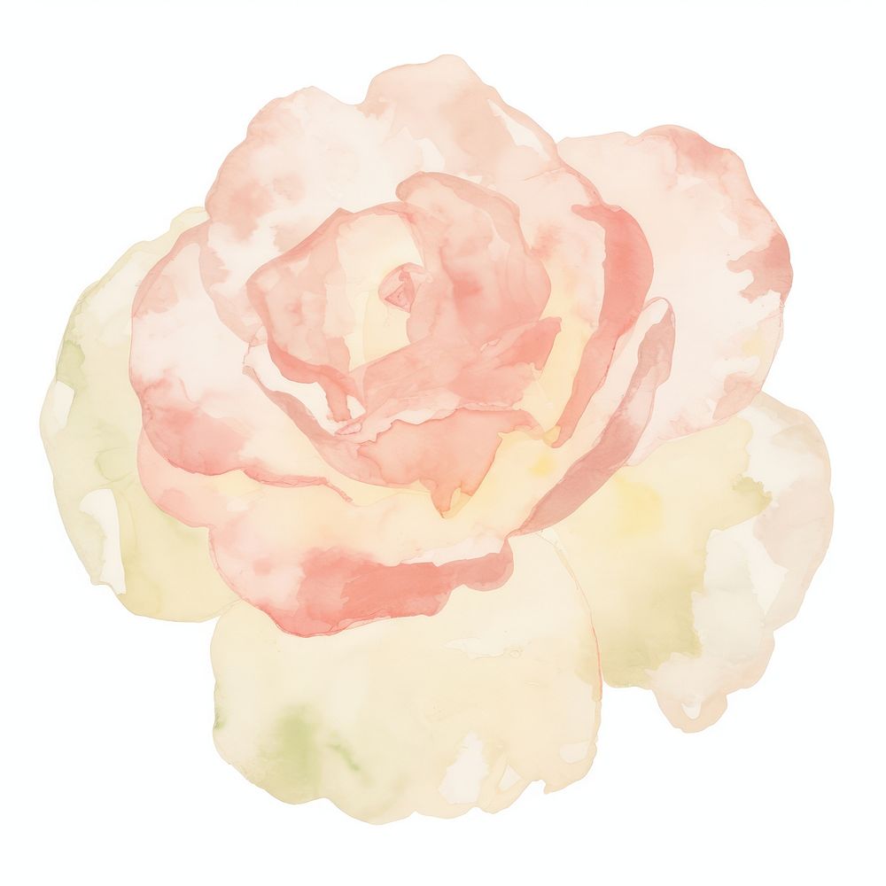 Rose marble distort shape flower petal plant.
