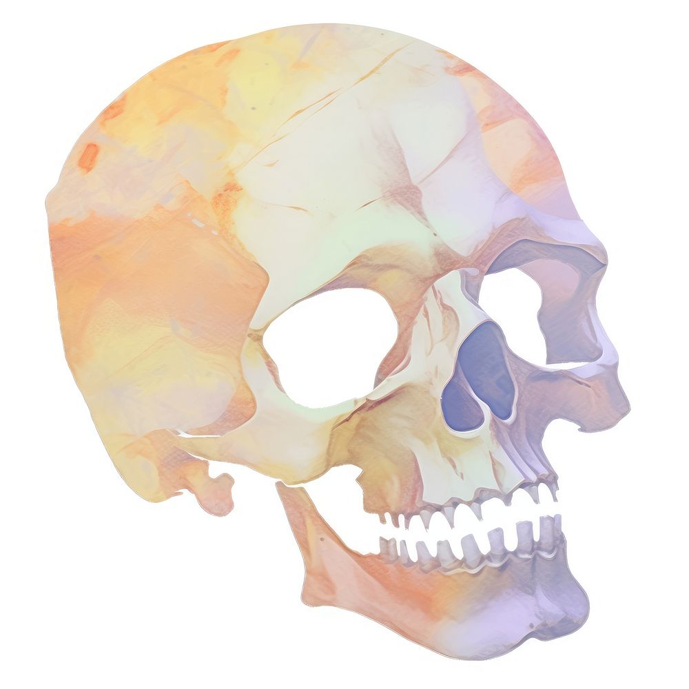 Skull marble distort shape white background creativity biology.