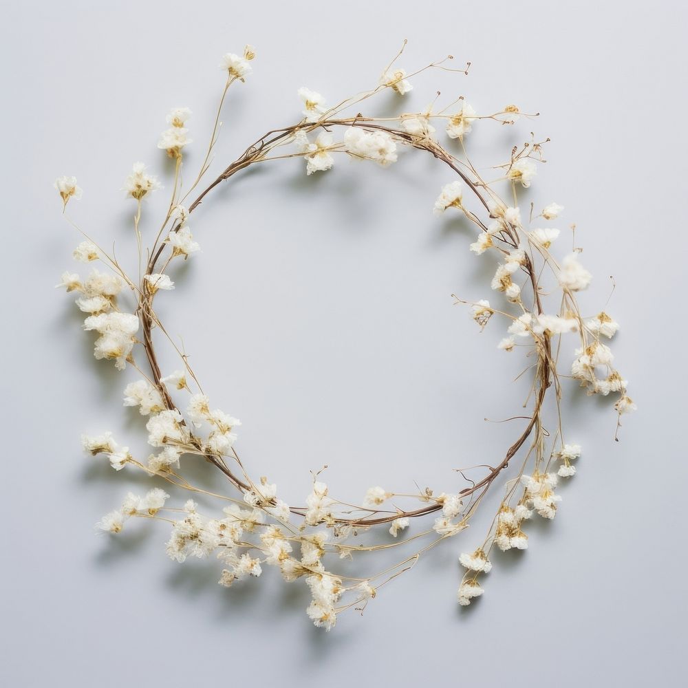  Real pressed gypsophila flowers wreath plant petal. AI generated Image by rawpixel.