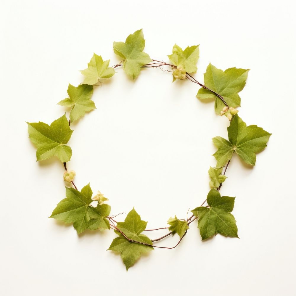  Real pressed ivy leaf jewelry wreath plant. AI generated Image by rawpixel.