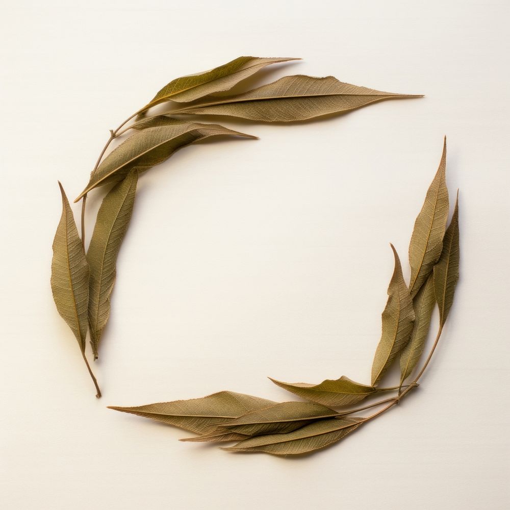  Real pressed willow leaf plant paper clothing. AI generated Image by rawpixel.