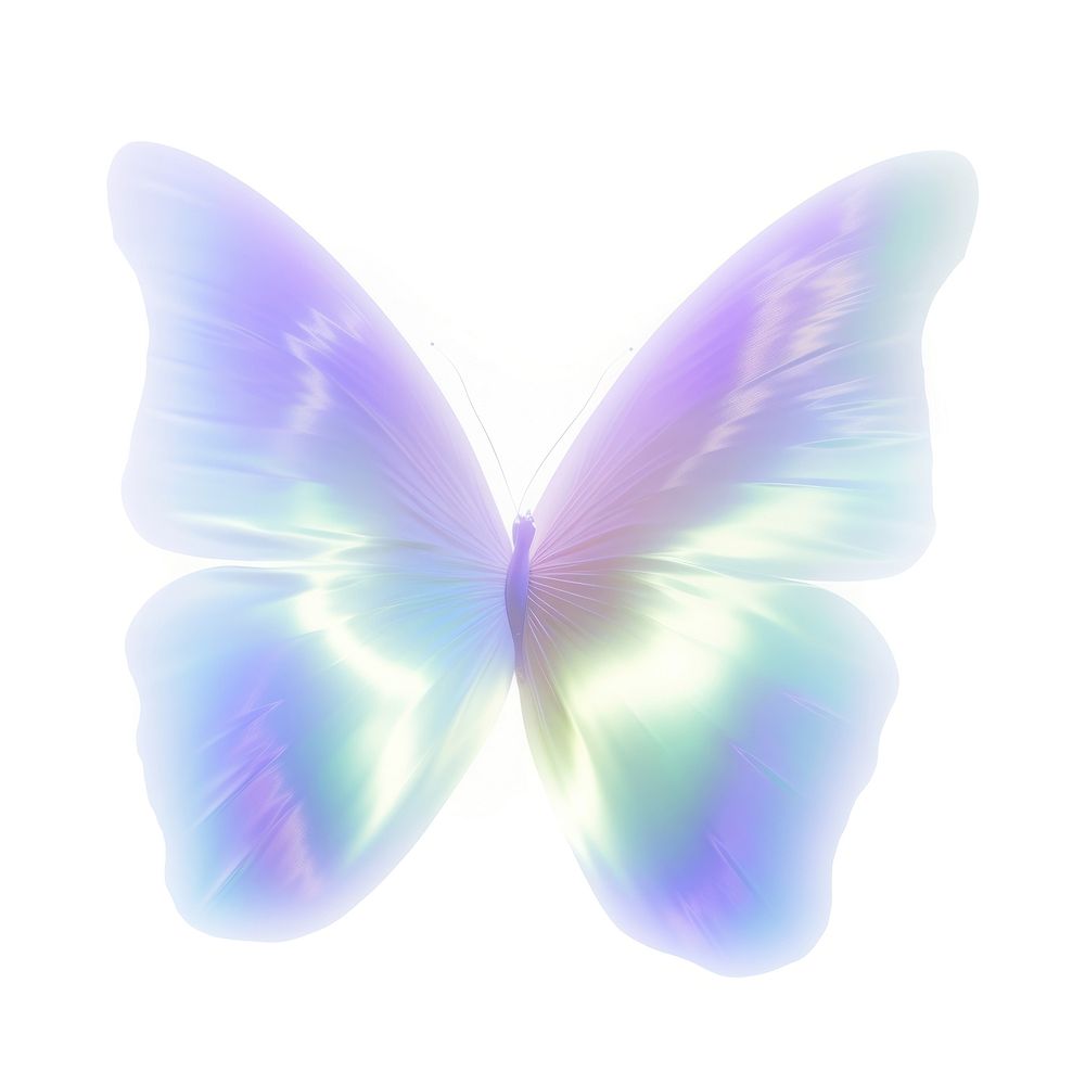 A holography butterfly animal insect purple.