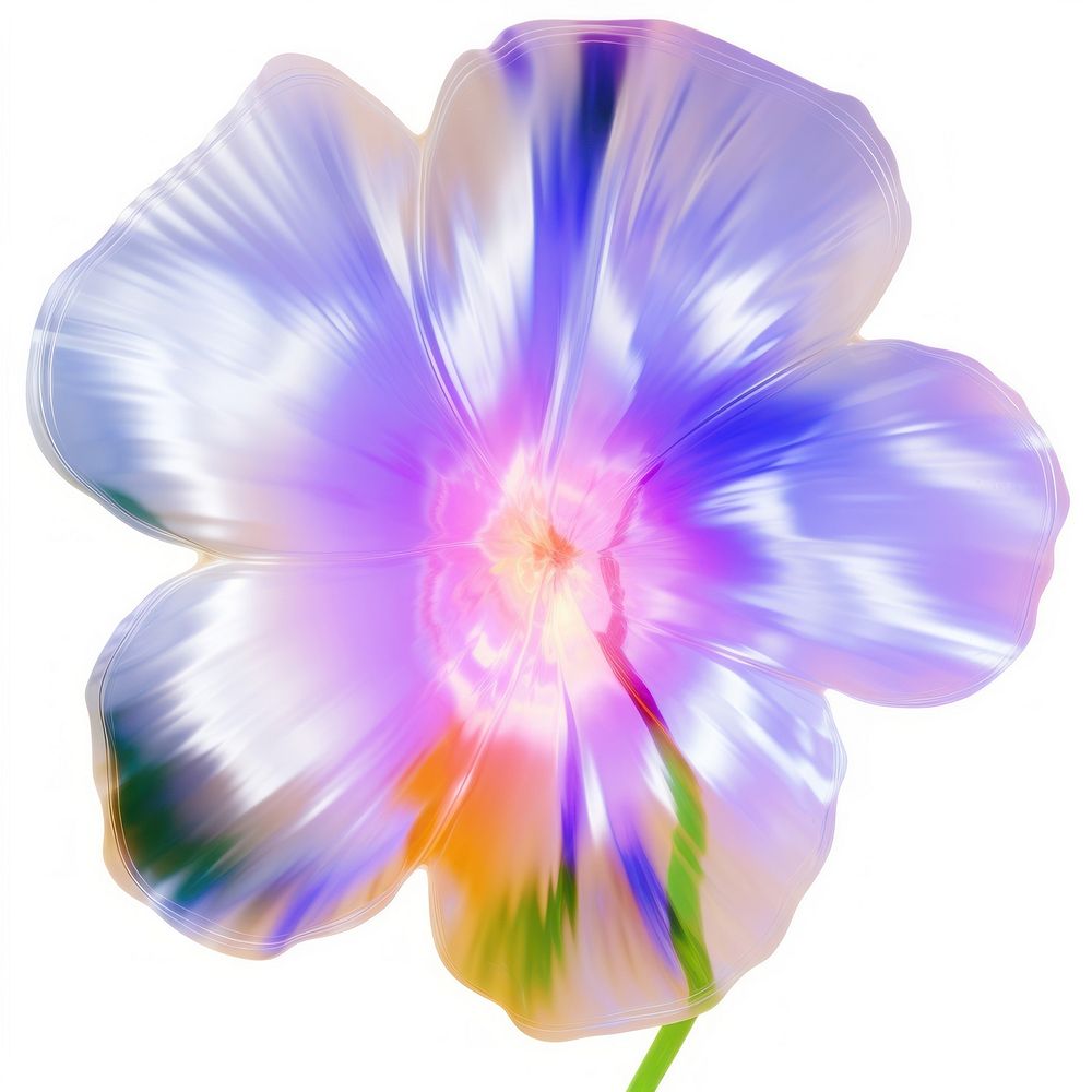 A holography flowers petal plant white background.