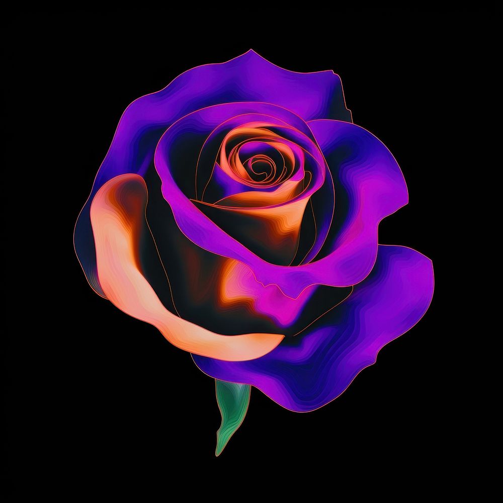 A rose purple violet flower.