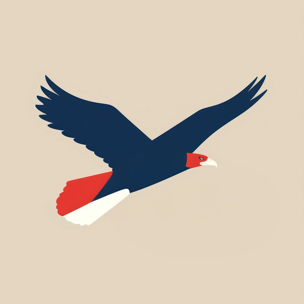 Illustration of a simple eagle vulture animal flying.