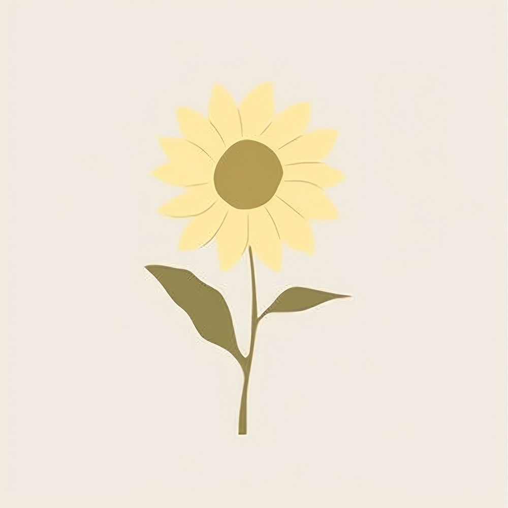 Illustration of a simple sunflower petal plant inflorescence.