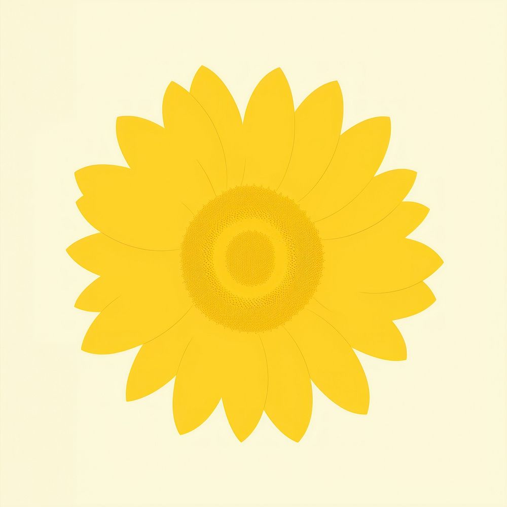 Illustration of a simple sunflower plant inflorescence asteraceae.