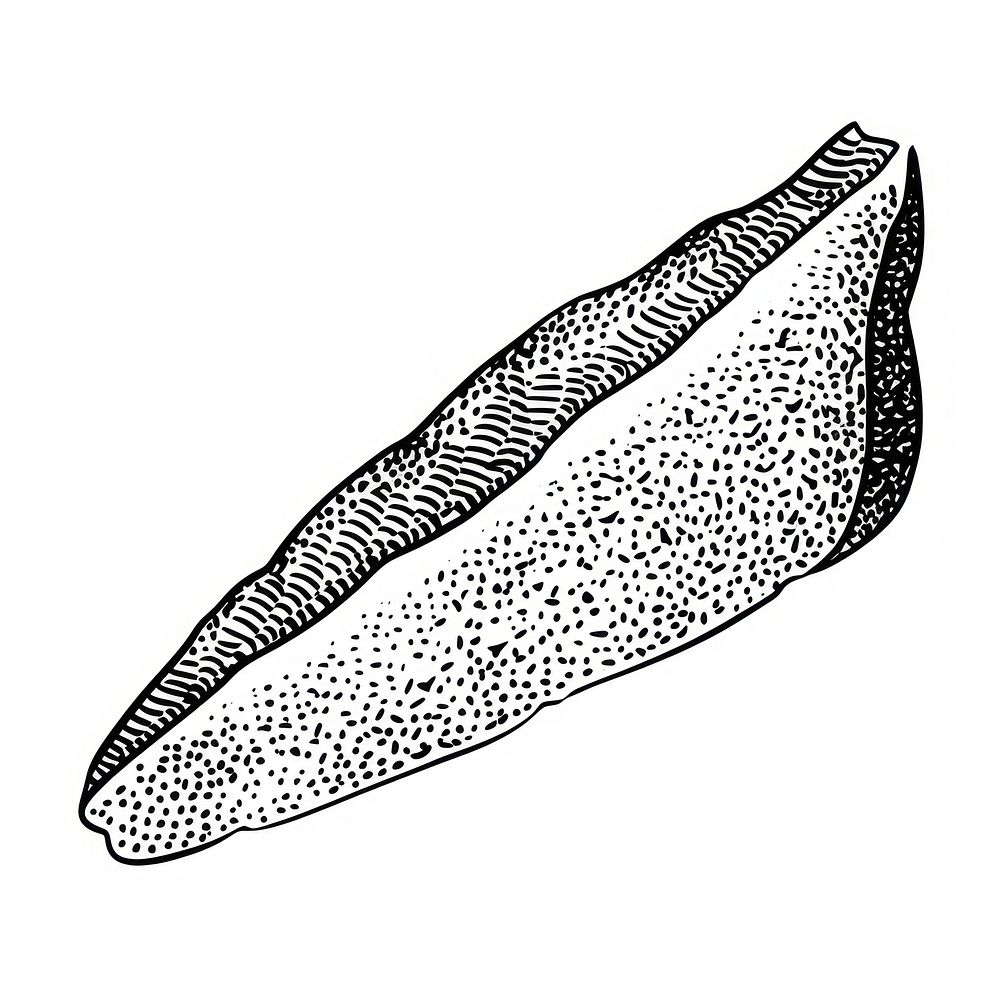 Salmon slice white background invertebrate monochrome.