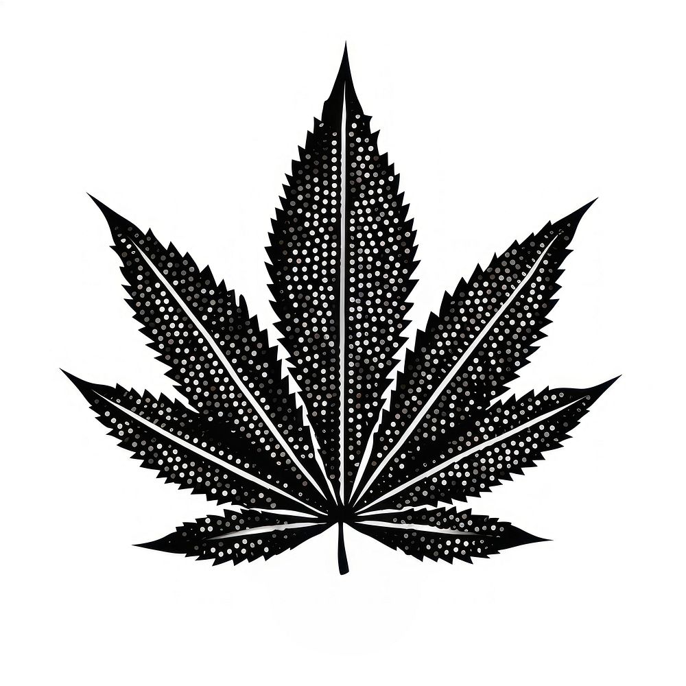 Cannabis cannabis plant black.