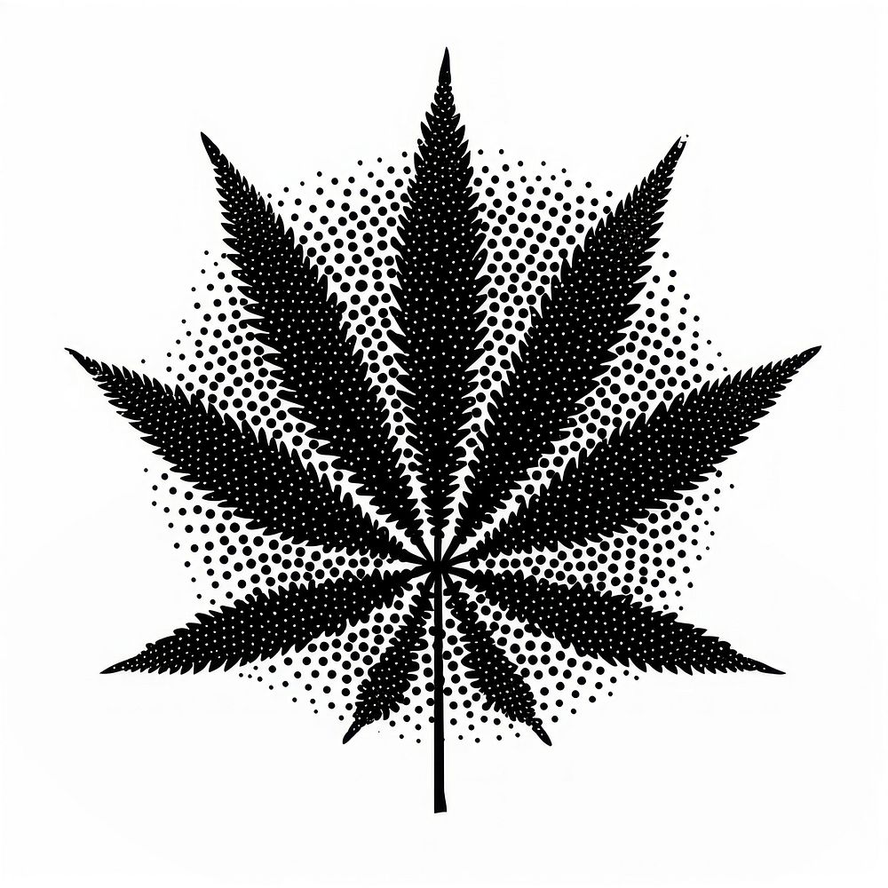 Cannabis cannabis plant black.