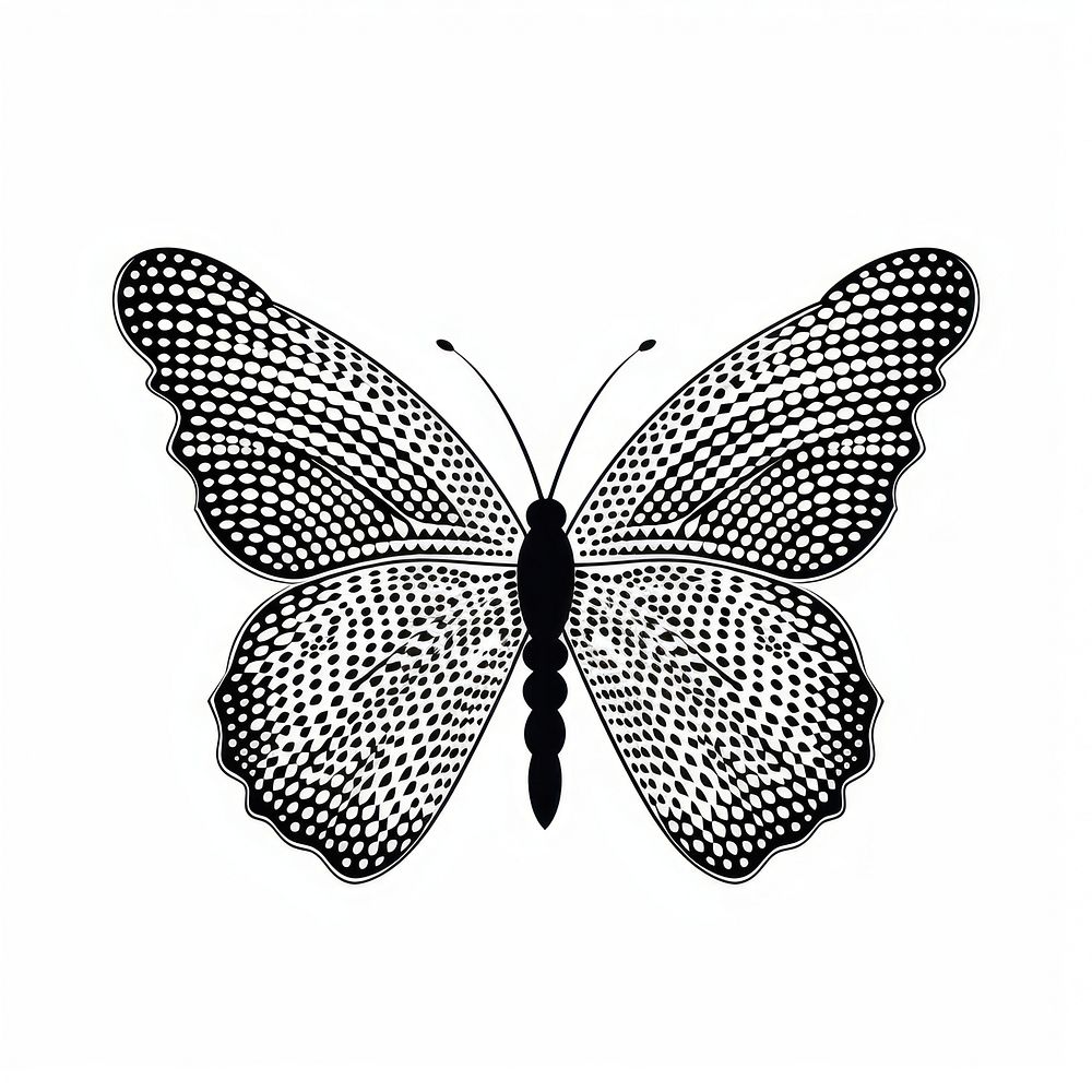 Butterfly drawing animal sketch.