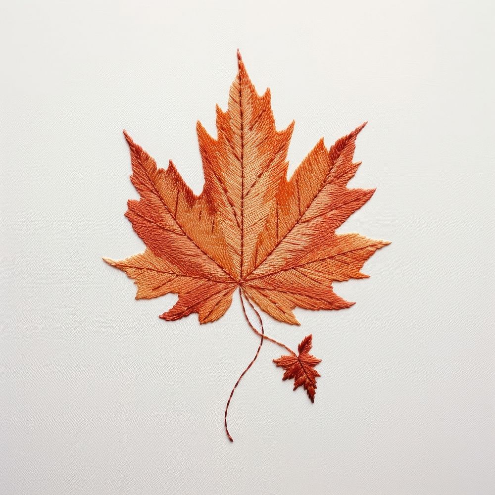A autumn leave in embroidery style leaves maple plant.