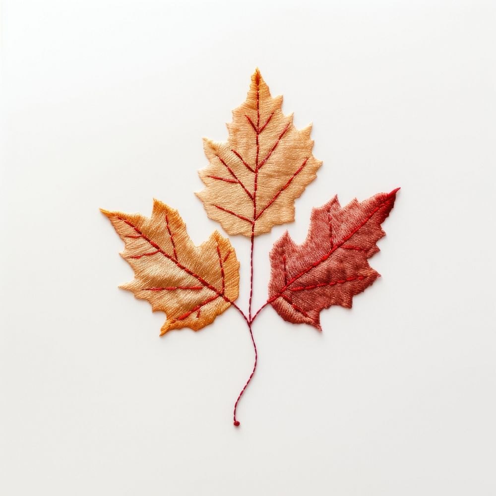 A autumn leave in embroidery style leaves plant leaf.