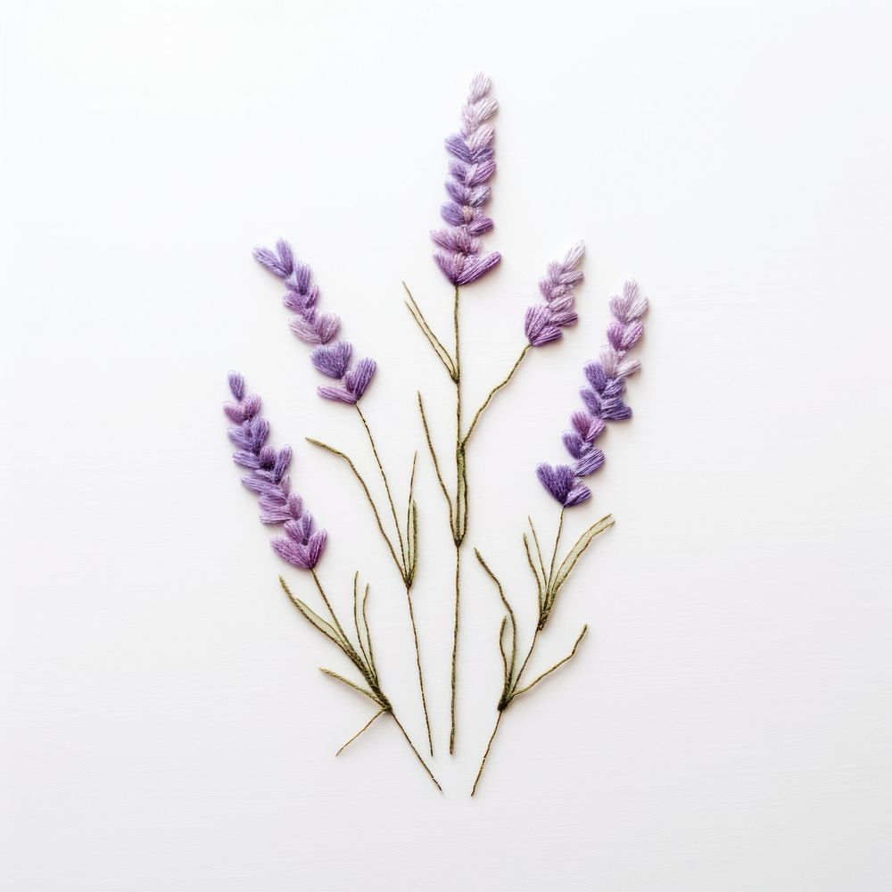A lavender in embroidery style flower purple plant.