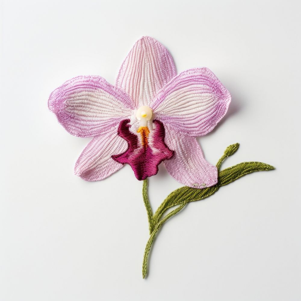 A orchid in embroidery style flower petal plant.