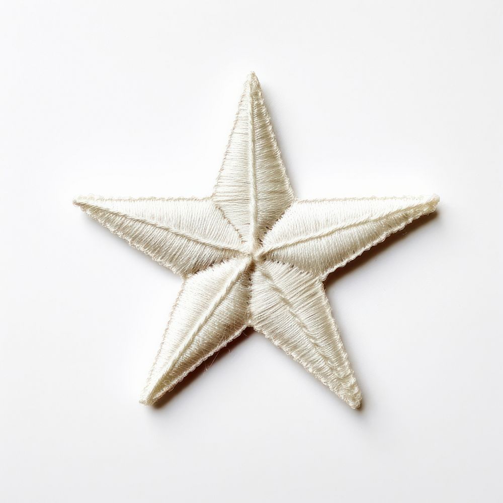 A star in embroidery style textile white invertebrate.