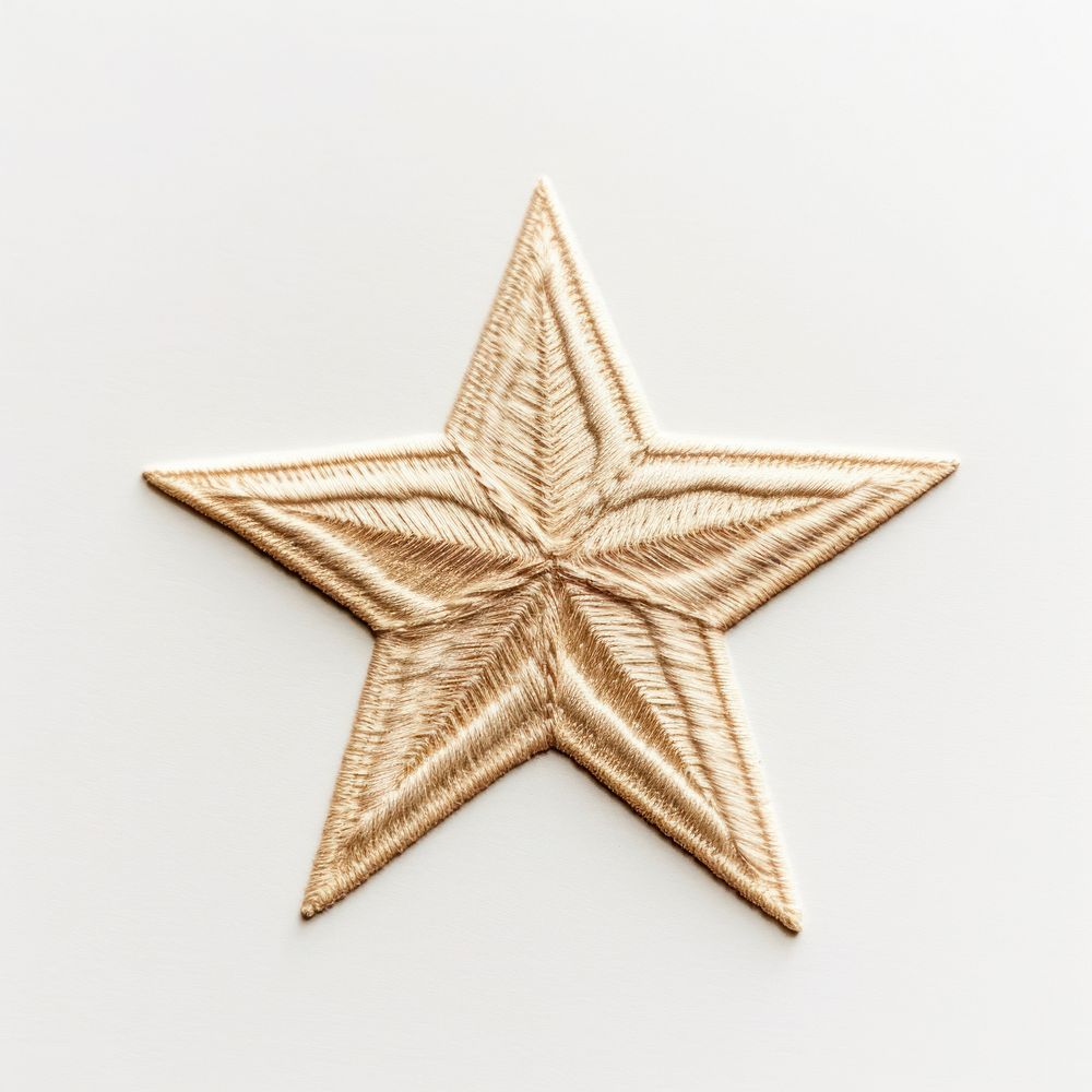 A star in embroidery style simplicity echinoderm starfish.