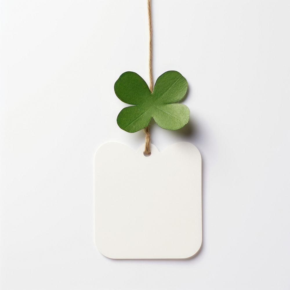 Four-leaf clover plant white background decoration.