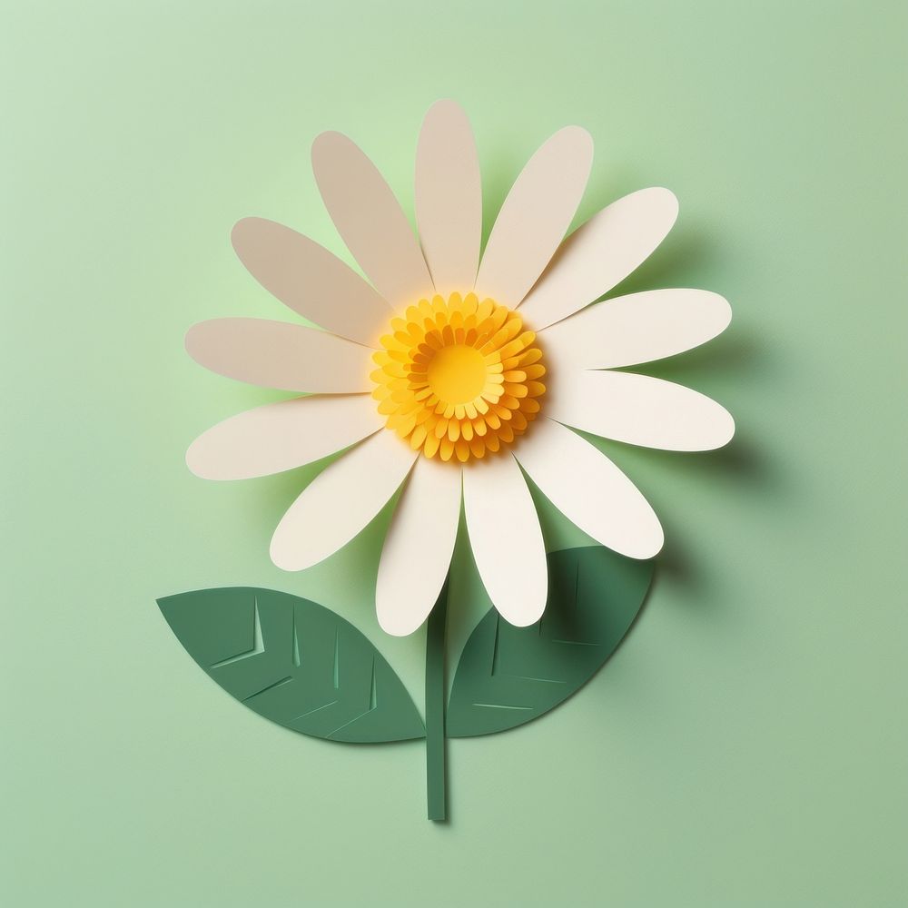 Paper cutout illustration of a daisy flower petal plant inflorescence.