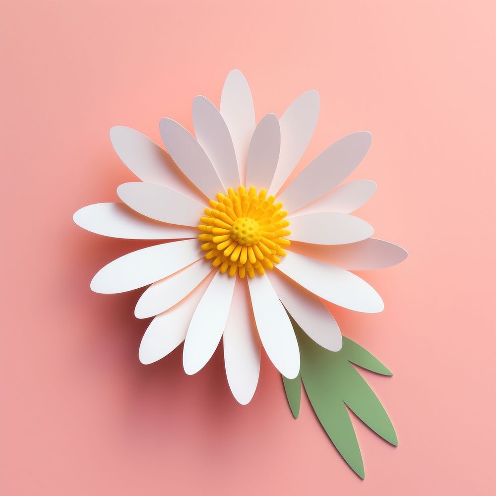 Paper cutout illustration of a daisy flower petal plant inflorescence.