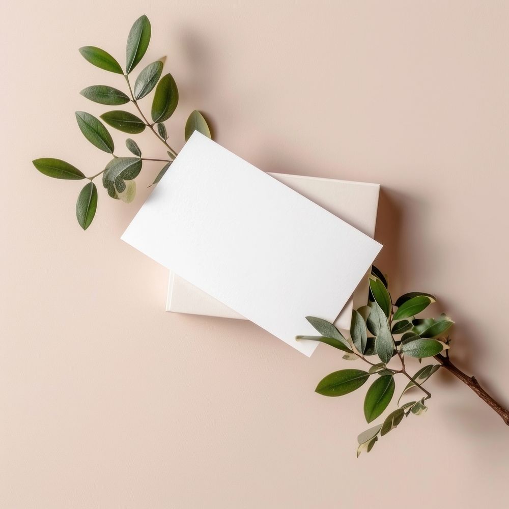 Namecard  envelope paper plant.