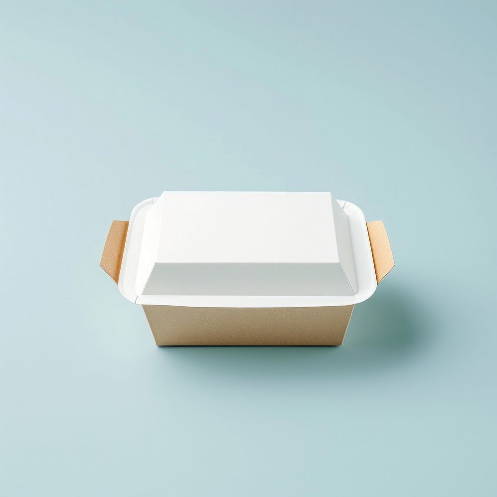 Paper lunchbox  paper food simplicity.