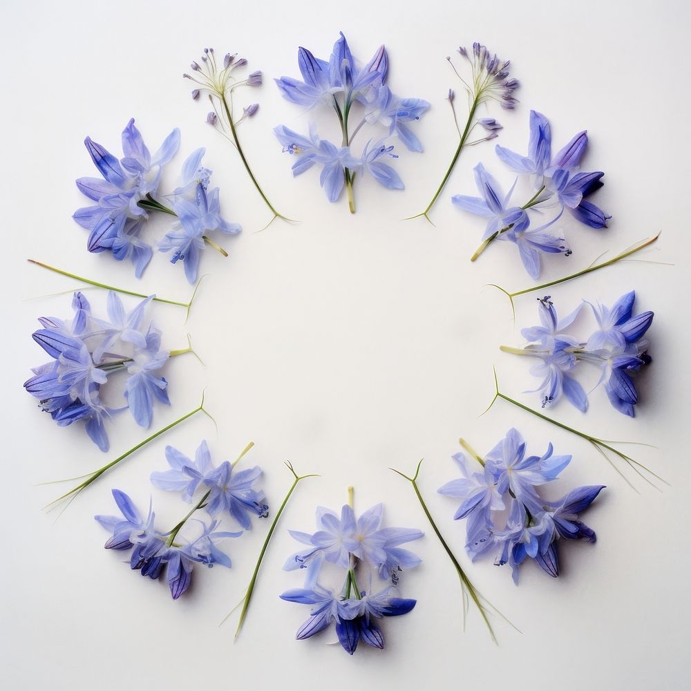 PNG Real pressed bluebells flowers circle wreath petal. AI generated Image by rawpixel.