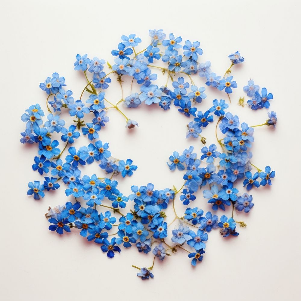 PNG Real pressed forget me not flowers jewelry petal plant. AI generated Image by rawpixel.