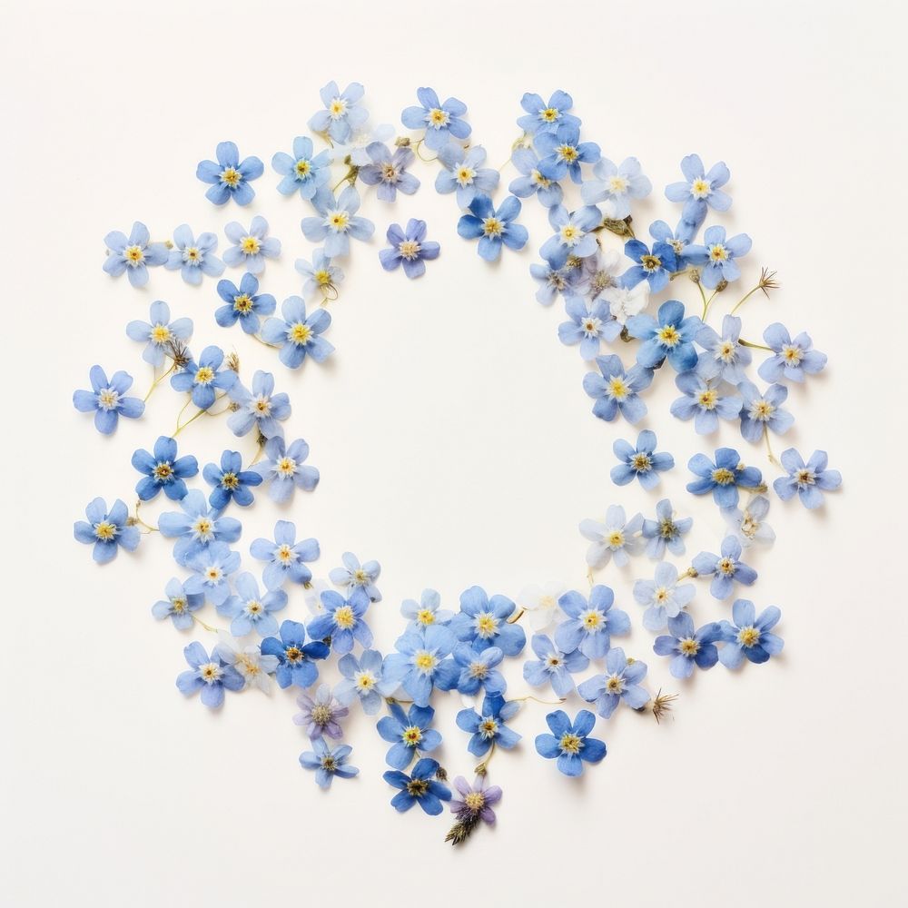 PNG Real pressed forget me not flowers jewelry circle plant. AI generated Image by rawpixel.
