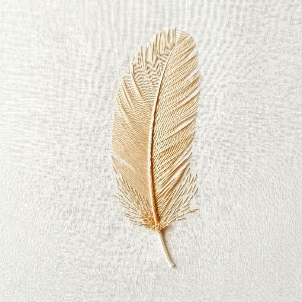Cute feather in embroidery white leaf lightweight.