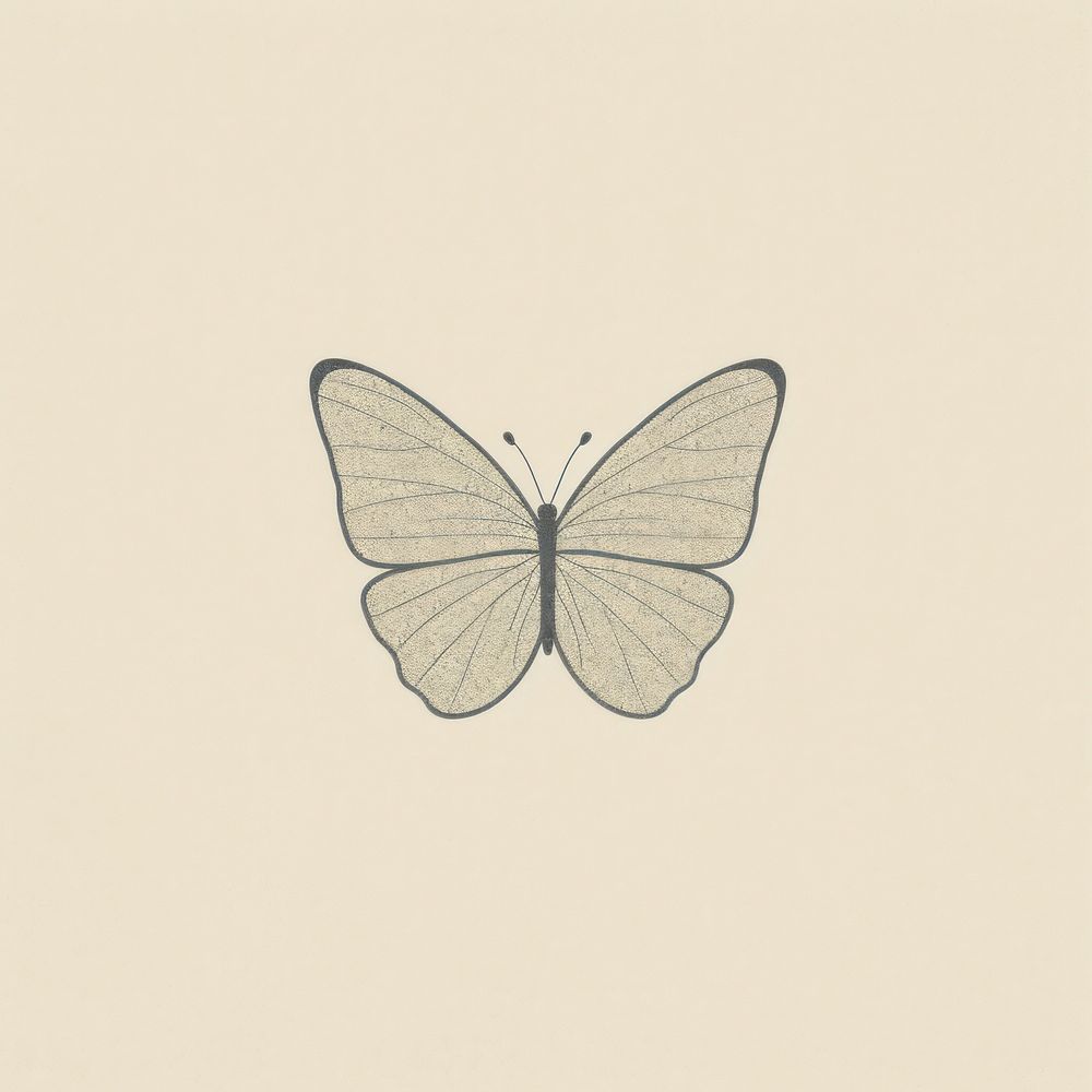 Butterfly icon drawing insect animal.