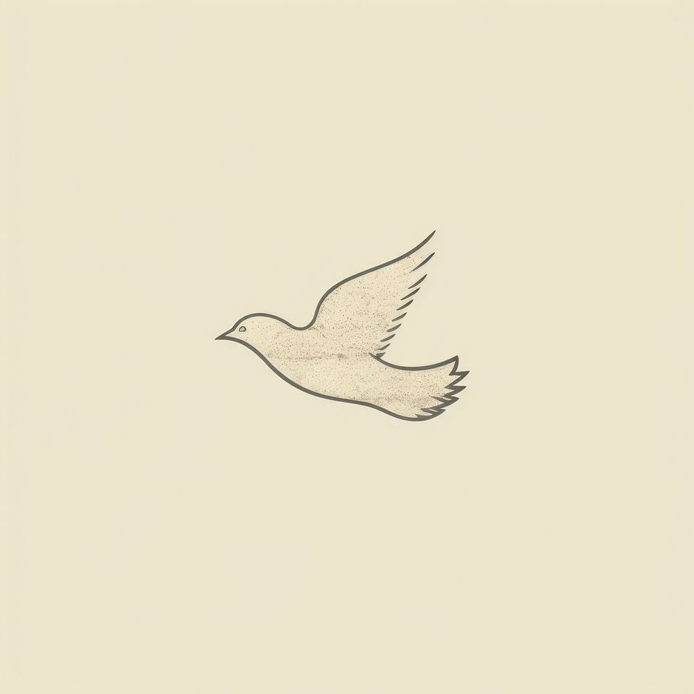 Dove icon drawing animal flying.
