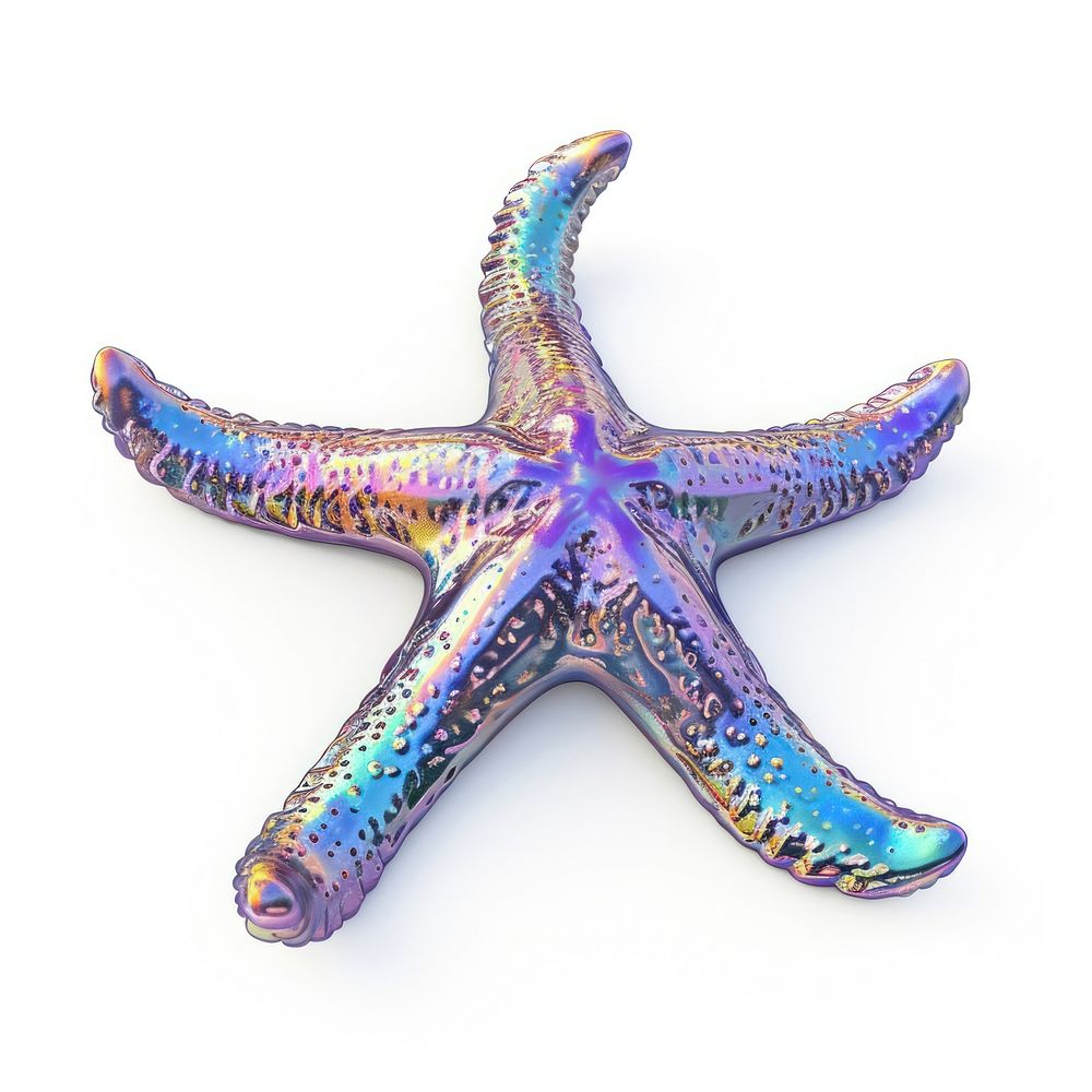 Starfish iridescent white background invertebrate echinoderm.