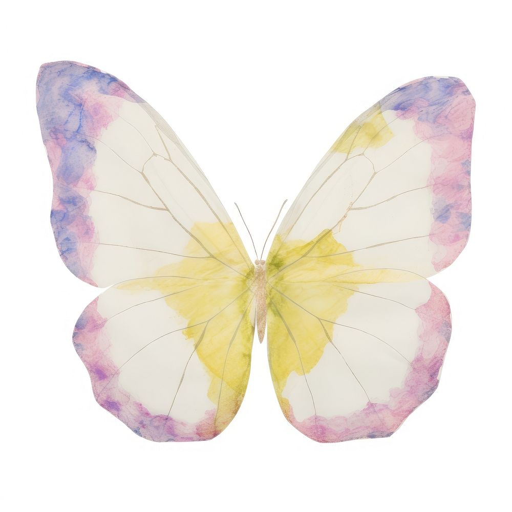 Butterfly marble distort shape animal insect flower.