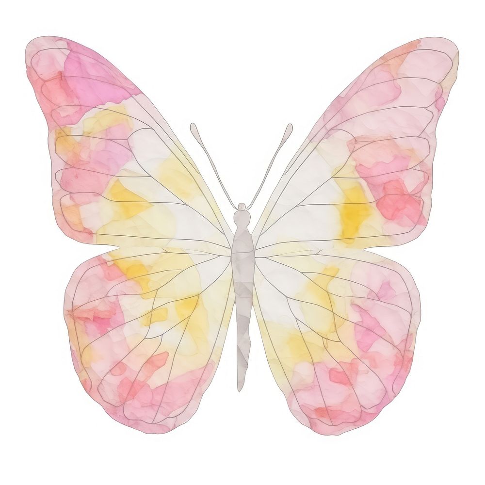 Butterfly marble distort shape animal insect petal.
