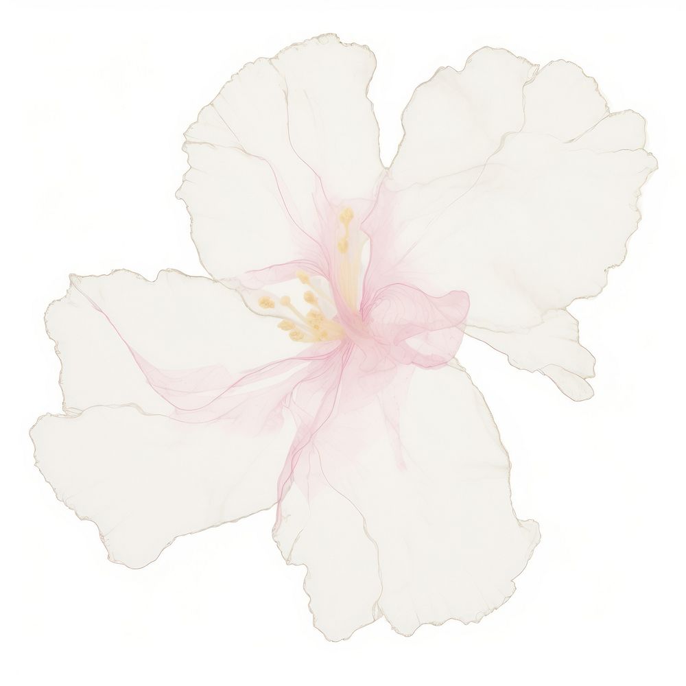 Flower marble distort shape hibiscus petal plant.