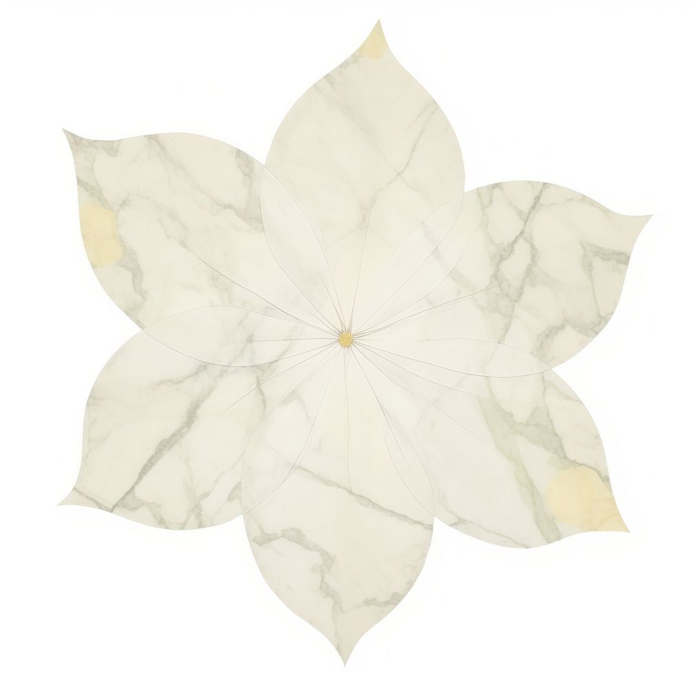 Flower marble distort shape pattern petal plant.