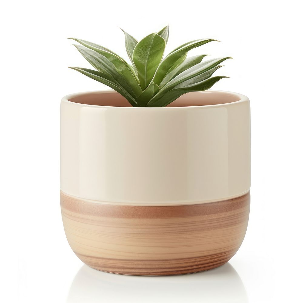 Pottery off-white planter pottery vase leaf.