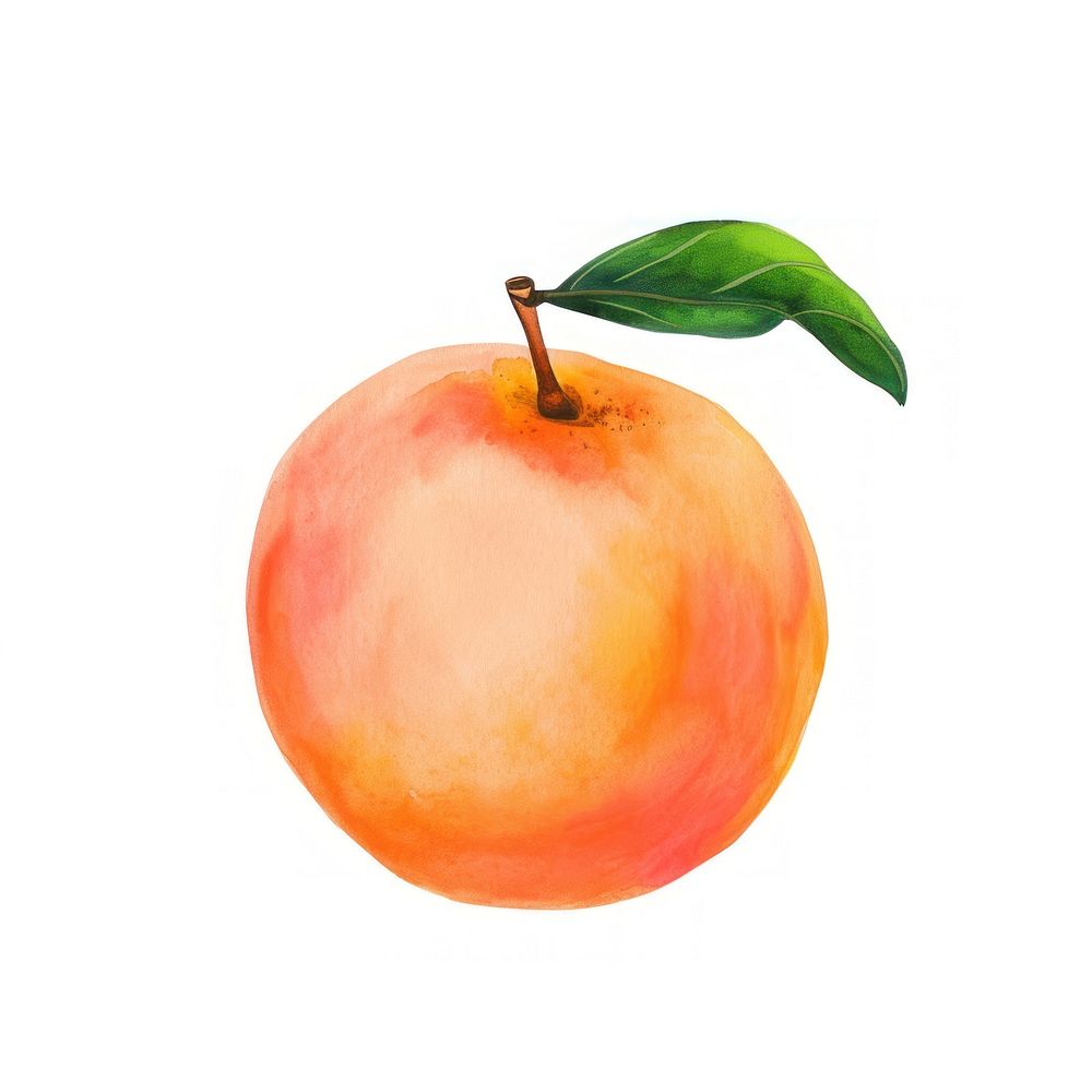 Peach fruit apple plant.