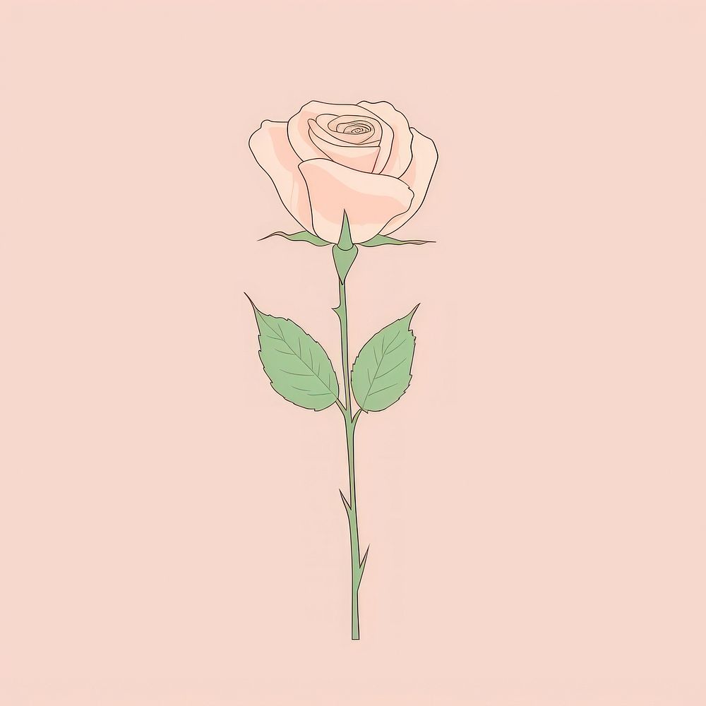 Pink rose cartoon drawing flower. AI generated Image by rawpixel.